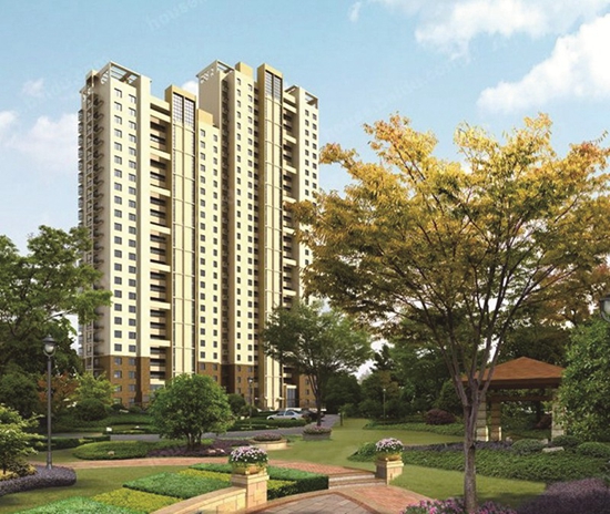 15142201bd2835c7d39550.jpg XYWB2017121423_1.jpg