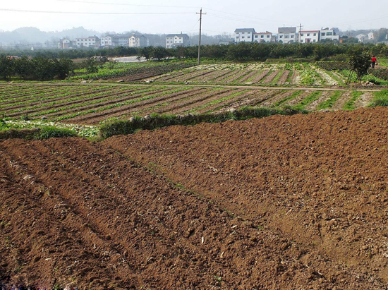 06094727da8821f9f78764.jpg timg.jpg