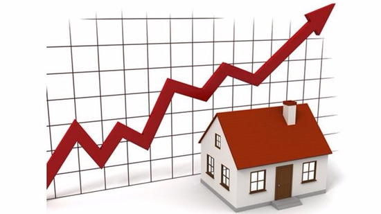 05090316e891c73a6e6660.jpg 20160809102002Z7eM.jpg