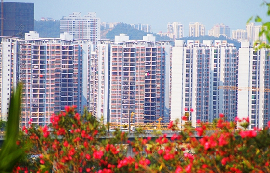 08094457eea4738a156023.jpg _________3.x_large.jpg