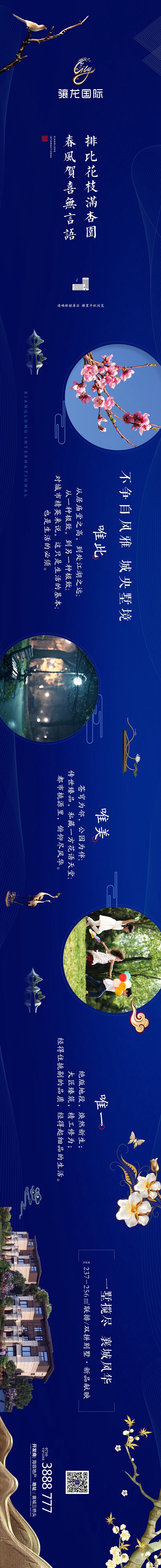 驤龍國(guó)際1.jpg