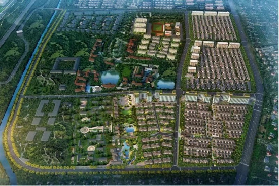 13113006550fc989070787.jpg 微信圖片_20190813112056.jpg