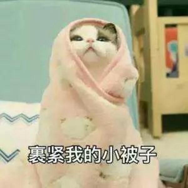 061737093490b6def75316.jpg 3.jpg